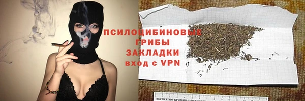 дурь Алексин