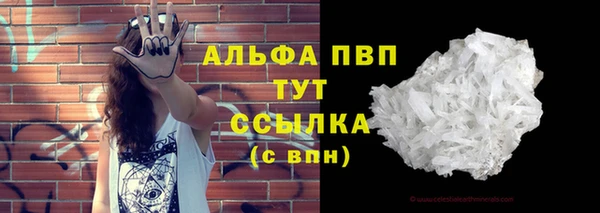 индика Арсеньев