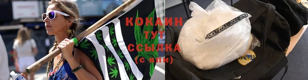 ГАЛЛЮЦИНОГЕННЫЕ ГРИБЫ Михайловск