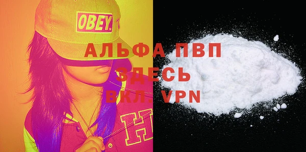 индика Арсеньев