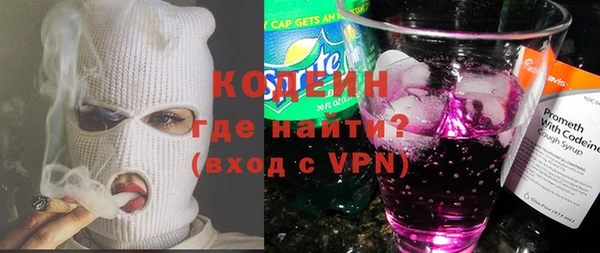 дурь Алексин
