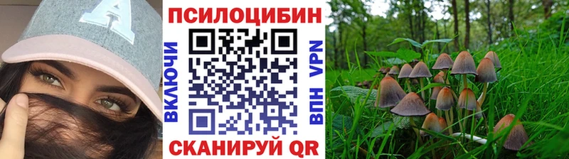 Галлюциногенные грибы Magic Shrooms купить цена Бабаево